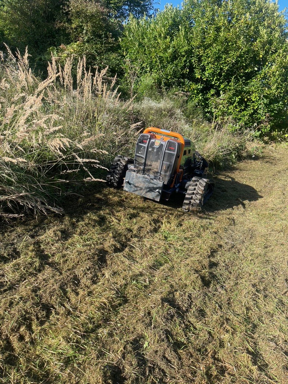 Mulchraupe beim Freischneiden hohen Bewuchses