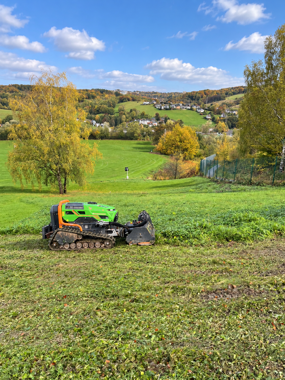 Mulchraupe bei der Arbeit an einem sonnigen Hang